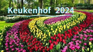 Tulip Garden  Keukenhof  Holland trending viral youtube [upl. by Oralee]