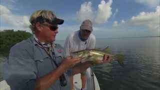 Key Largo Offshore Snapper Grouper Fishing and Inshore Snook Fishing [upl. by Averill]