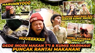 DEDE INOEN MAKAN KOTORAN DAN KUMIS HARIMAU  PUNCAK RANTAI MAKANAN TERTINGGI MEMBUKTIKAN POSISINYA [upl. by Carper]