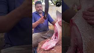 BIG KORALI FISH 🐟 KASIMEDU AMAZING FISH MARKET speedselvamcutting [upl. by Neelhsa]