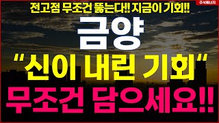 금양 quot신이 내린 기회quot 무조건 담으세요 금양 주주 가족 필수시청 [upl. by Alaecim]