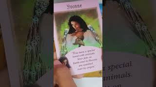 🐱🪶YOUR ANGELS WANTS YOU TO KNOW THIS pt 1🔮🐱 solunar tarot  fortunetelling tarot angelmassage [upl. by Nannahs952]