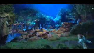 O Zelador Animal  Assista ao filme no Cinemagic [upl. by Aikat]