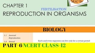 Part6 REPRODUCTION IN ORGANISMS chapter1 NCERT class 12th biology [upl. by Nowd53]