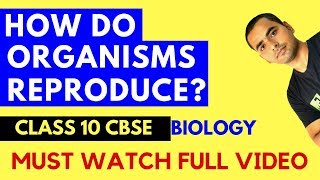 HOW DO ORGANISMS REPRODUCE CLASS 10 CBSE [upl. by Allista487]