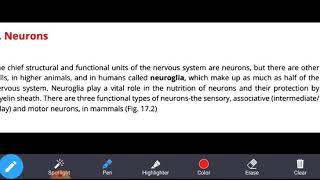 Structure and types of neurons [upl. by Ikir]