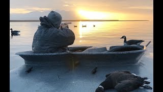 Sea duck hunting Coldbay Alaska [upl. by Perlman]