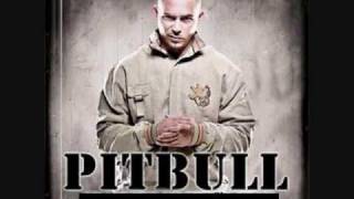 Pitbull ft Nayer  Pearly Gates HD [upl. by Arytas]