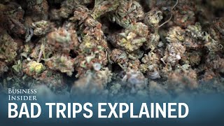 Dr Sanjay Gupta Heres Why People Get Bad Marijuana Trips [upl. by Gertie]