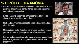 Encefalopatia Hepática Aula Completa [upl. by Atalante]