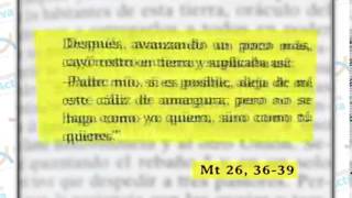 Evangelización Activa 16 Estructura de la Oración [upl. by Genisia]