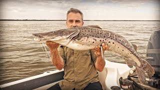 LA MERVEILLE DU FLEUVE PARANÁ  Cyril Chauquet [upl. by Noyr]