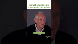 Mitochondrien  die Kraftwerke in den Zellen [upl. by Leela173]