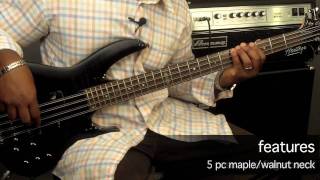 ESP LTD Deluxe Series B208 FM 8String  The Perfect Bass [upl. by Wier]