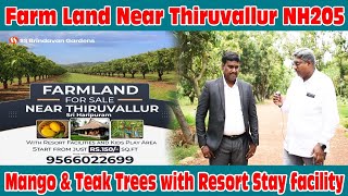 Farm Land For Sale Near Chennai  Cheap Farm Land For Sale Near ChennaiLow Budget Farm Land Chennai [upl. by Ronnica888]