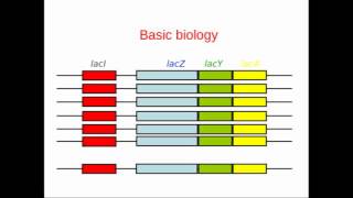 Genome Annotation [upl. by Alioz]