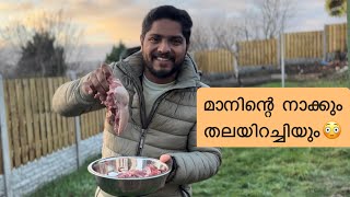 Deer headamptongue roastമാനിന്റെ തലയും നാക്കും വരട്ടിയത് [upl. by Nnaylime]