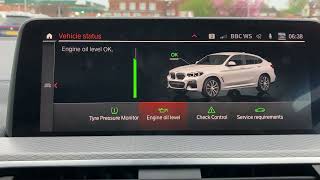 BMW X4 M40i Engine Oil Level Check [upl. by Hazen]