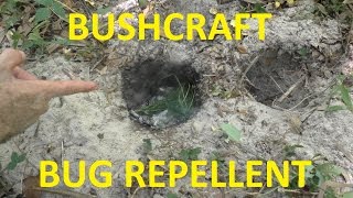 Survival Knowledge  Natural Mosquito Repellent  Dogfennel and the Dakota Fire Hole  Pit [upl. by Oranneg]