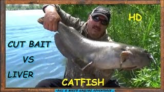 CUT BAIT VS CHICKEN LIVER CATFISH BAIT CHALLENGE [upl. by Natelson]