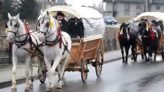 Podhalański etap pielgrzymki konnej z Krakowa do Rzymu 2016 [upl. by Allin951]