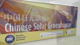 Grow The Netherlands Bleiswijk Wageningen plant research Chinese solar greenhouse [upl. by Yran569]