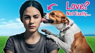 5 Weird REASONS your dog LICKS you it isnt cute [upl. by Camus]