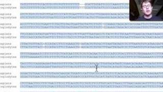 Evidence for Evolution [upl. by Euphemiah]