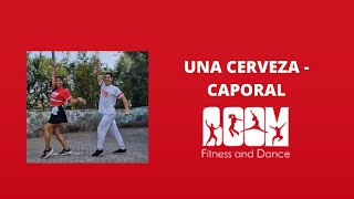 Una cerveza  Renovación Andina  Coreografía BOOM fitness and dance [upl. by Down293]