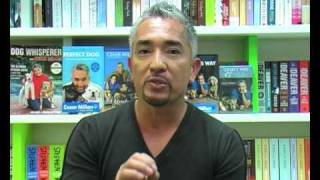 How to Raise the Perfect Dog  Cesar Millan [upl. by Wadleigh]