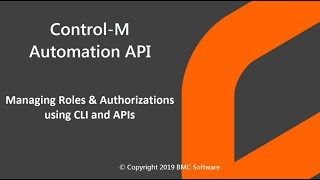 ControlM API Automation  Managing Roles amp Authorizations using CLI and APIs [upl. by Airamalegna]