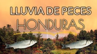 Lluvia de Peces en Yoro Honduras [upl. by Almund]