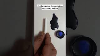 Capillary actiondemonstration using ink and chalk [upl. by Aikyn789]