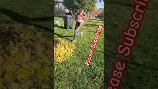 It didnt pad leaves jump outdoors yard fun funny hurt 2024 funnyshorts [upl. by Airdna466]