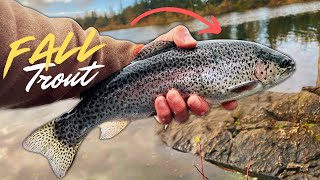 Fishing for Trout in Washington State with Lures [upl. by Somar]