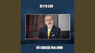 Diyarbekir Malamın [upl. by Lotson]