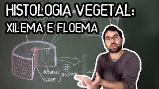 Histologia Vegetal Tecidos de Condução de Seiva  Aula 14  Módulo V Botânica Prof Guilherme [upl. by Kessia]