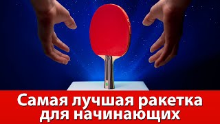 Самая лучшая ракетка в настольном теннисе для начинающего любителя [upl. by Fredkin409]