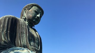 🚶‍♂️ Great Buddha Statue in Kamakura Japan  鎌倉の大仏  Softypapa Adventures  Walking in Japan [upl. by Willetta910]