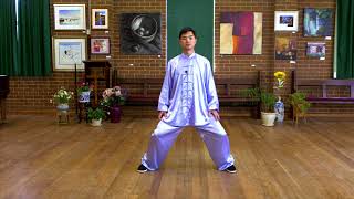 Tai Chi for Beginners Lesson 1 Basic Training [upl. by Burne281]