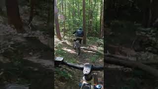 1 MUSCU VS 5 VTTAE epic mtb enduro bikelover [upl. by Eisele]