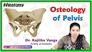 Osteology Of Pelvis [upl. by Assetal]