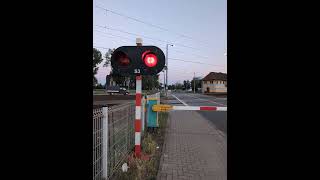 Railway Crossing  Bahnubergang  Overweg  Passage à Niveau  Poznan  Polen  Poland  Brttrainz [upl. by Blockus]