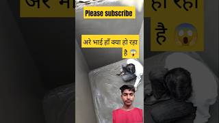 Dosto ye hai mistri sahab 🤣 funny mistry comedy myconstructionwork construction constrcution [upl. by Nnylrats]