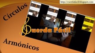 Circulo de La  Aprender a Tocar Acordes de Guitarra [upl. by Ylliw]