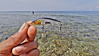 Mancing Casting Karang Dangkal Hasil Sangat Memuaskan  Spot Ada Buaya Nya😱 [upl. by Hafinah]