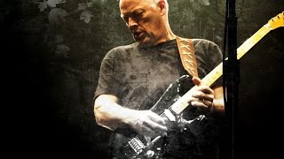 David Gilmour  The Best Guitar Solos [upl. by Dominga778]