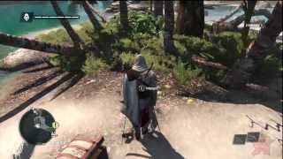 Assassins Creed IV Treasure 901 263  Punta Guarico [upl. by Nnire995]