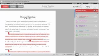 Reading the Originality Report in Turnitin [upl. by Atnom487]