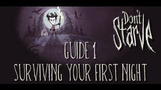 Dont Starve Guide 1 Surviving Your First Night [upl. by Tench]